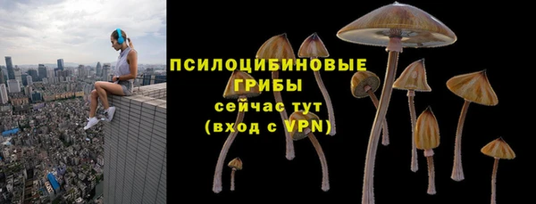 гидра Богородск