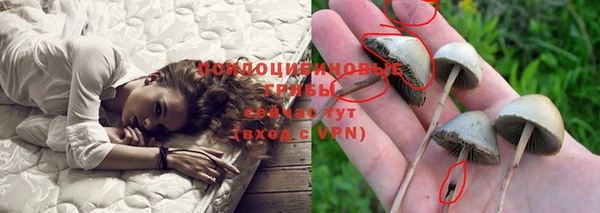 таблы Михайловск