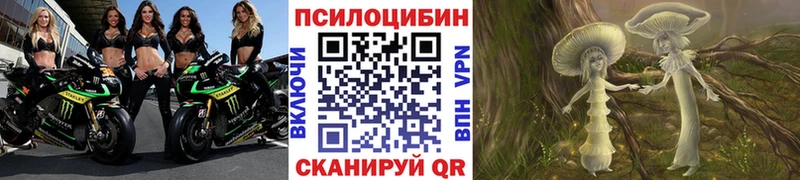 Галлюциногенные грибы мицелий Чердынь